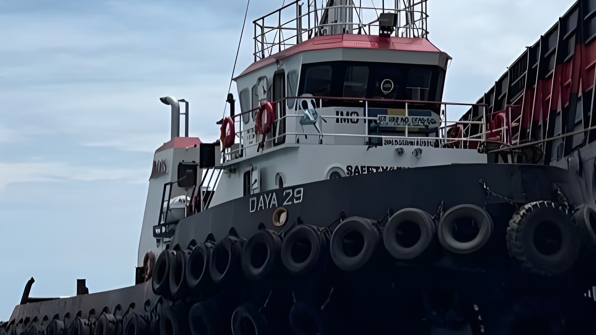FLEET-Daya 29